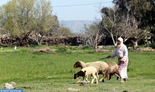 Maroc: une féminisation accrue des flux migratoires ruraux (Brefs du Plan)