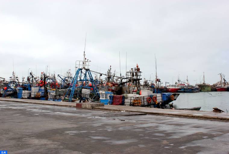 Le Conseil de gouvernement approuve un projet de loi relatif à la pêche maritime