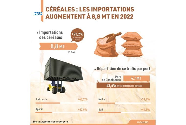 Céréales: les importations augmentent à 8,8 MT en 2022