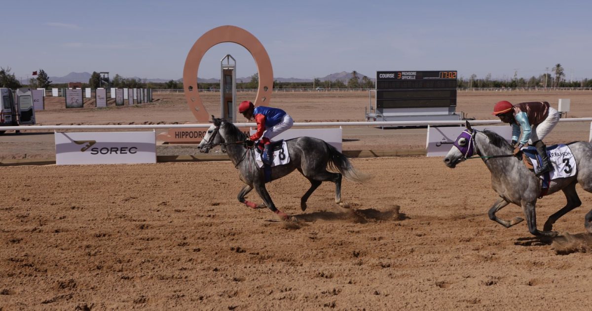 Clôture triomphale du Festival de courses de chevaux Pur-sang Arabe à Marrakech