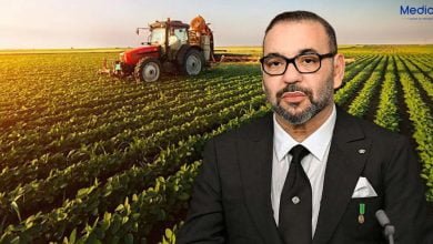 Agriculture Maroc