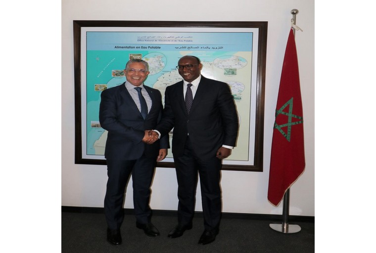 L'ONEE et la BAD s'engagent à fructifier leur partenariat dans le secteur énergétique au Maroc