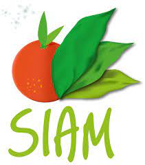 La 16ème édition du SIAM, du 22 au 28 avril 2024 à Meknès