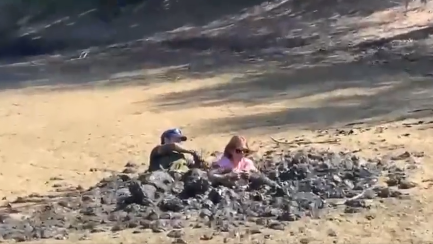 VIDEO. "Couverte jusqu'à la poitrine" : une famille se retrouve coincée dans la boue alors qu'elle se promenait dans un marais asséché