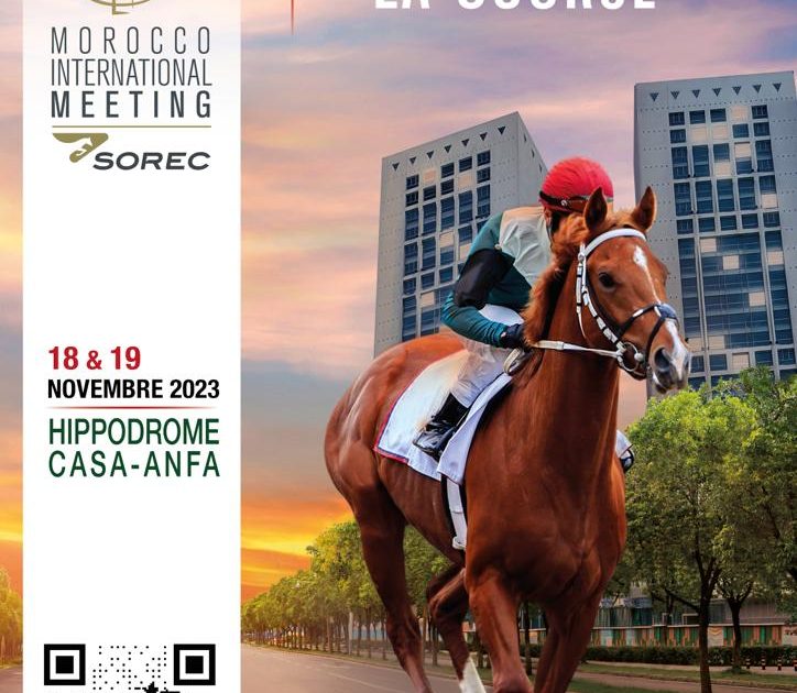 La SOREC organise la 9è édition du Morocco International Meeting des courses de chevaux les 18 et 19 novembre à l’hippodrome Casablanca-Anfa