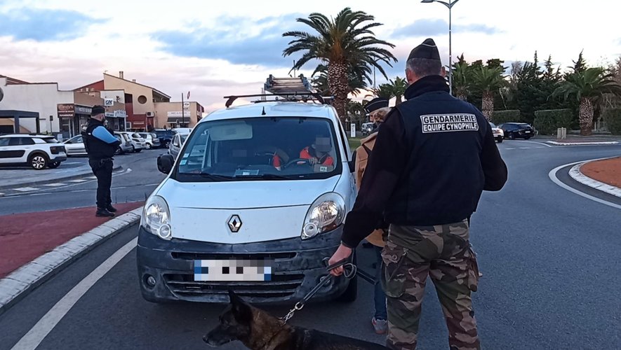 Pyrénées-Orientales : saisies de stupéfiants, contrôles routiers, élucidations d'affaires... la longue semaine des gendarmes catalans