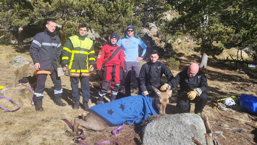 Pyrénées-Orientales : la biche piégée dans la glace et récupérée à l'issue d'une intervention spectaculaire est morte