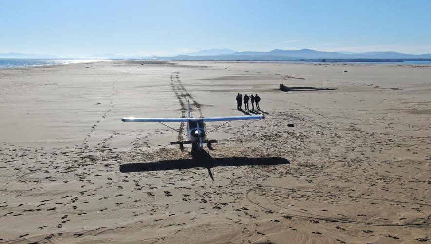 Insolite : quand la plage sauvage de la Vieille-Nouvelle à Gruissan devient un aérodrome improvisé