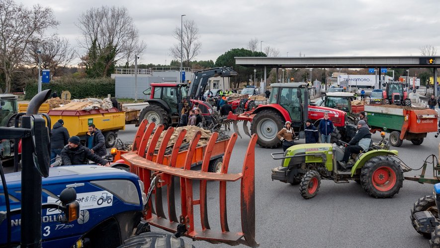 Colère des agriculteurs : décès d'une agricultrice dans l'Ariège, visite du ministre de l'Agriculture, nouvelles actions à venir... Le président de la FNSEA revient sur les mobilisations du secteur