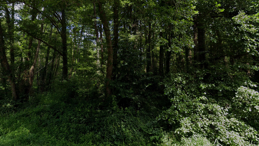Macabre découverte au cœur d'une forêt: Un corps en état de décomposition très avancé retrouvé dans une maison isolée