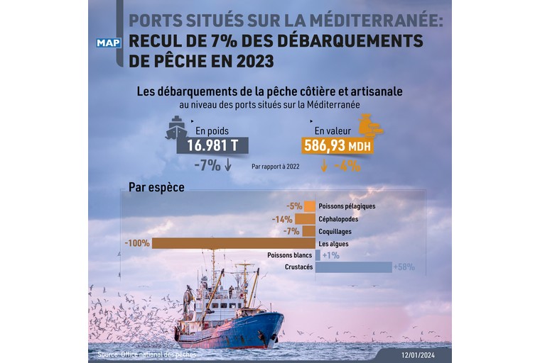 Ports situés sur la Méditerranée: Recul de 7% des débarquements