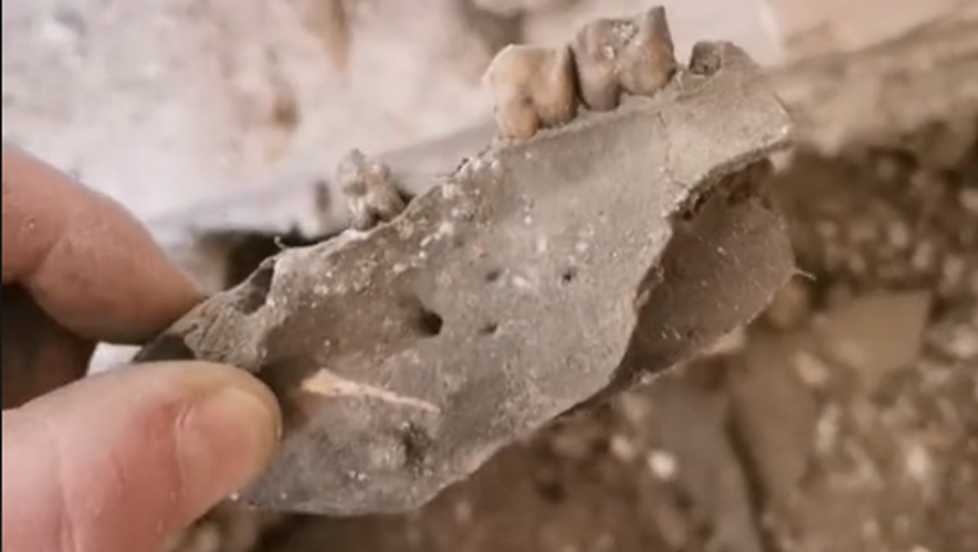 VIDEO. Le plombier fait une macabre découverte : en rénovant le sol d'une salle de bains, il tombe sur une vingtaine d'ossements et des dents