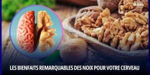 Les bienfaits remarquables des noix pour votre cerveau