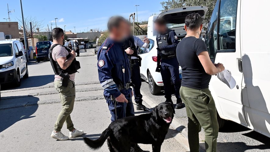 Narbonne : cannabis et cocaïne dans l’opération "Place nette" des forces de l’ordre à la Cité des Platanes