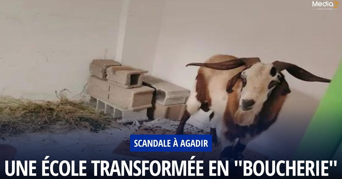 Scandale à Agadir Une École Transformée en "Boucherie"