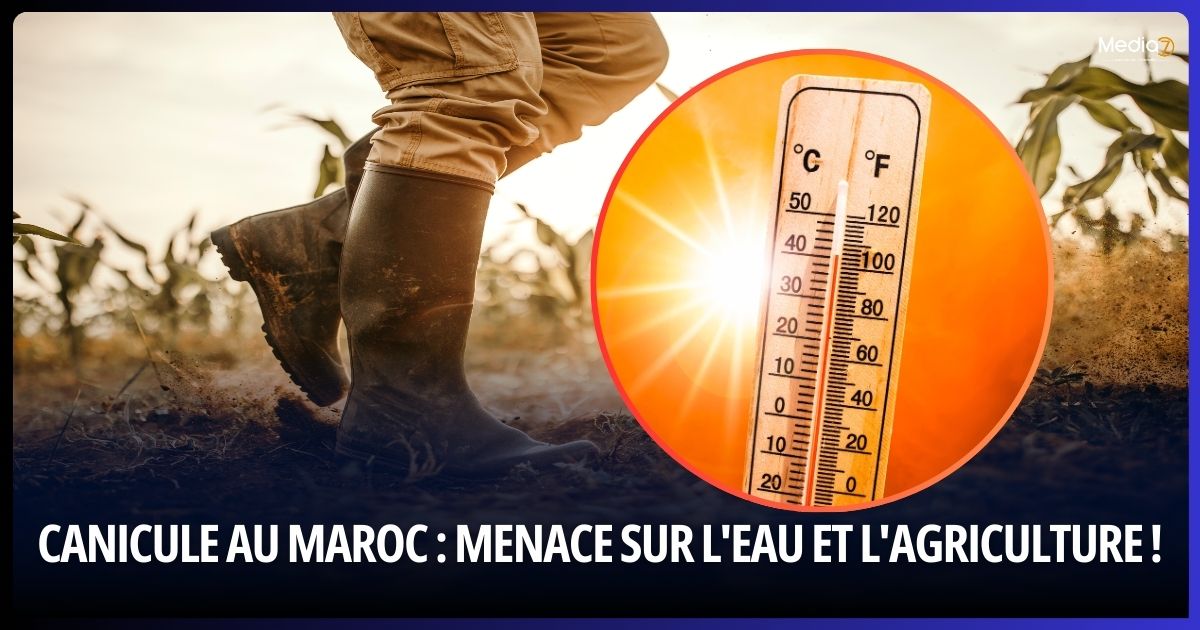Canicule au Maroc : Menace sur l'Eau et l'Agriculture !