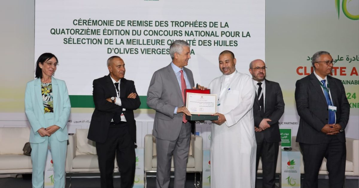 Meknès : 12 huiles d'olive appartenant à quatre régions primées lors du 14ème concours national pour la sélection de la meilleure qualité d'huile d'olive vierge extra