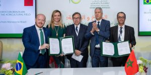 SIAM 2024 : ouverture du marché brésilien aux agrumes marocains