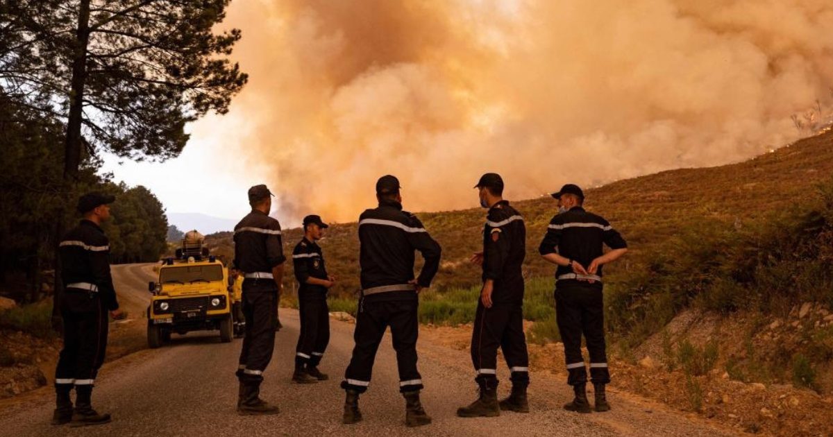 Le Maroc se mobilise pour anticiper les incendies estivaux
