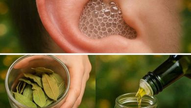 Feuilles de laurier : le remède surprenant pour déboucher une oreille naturellement
