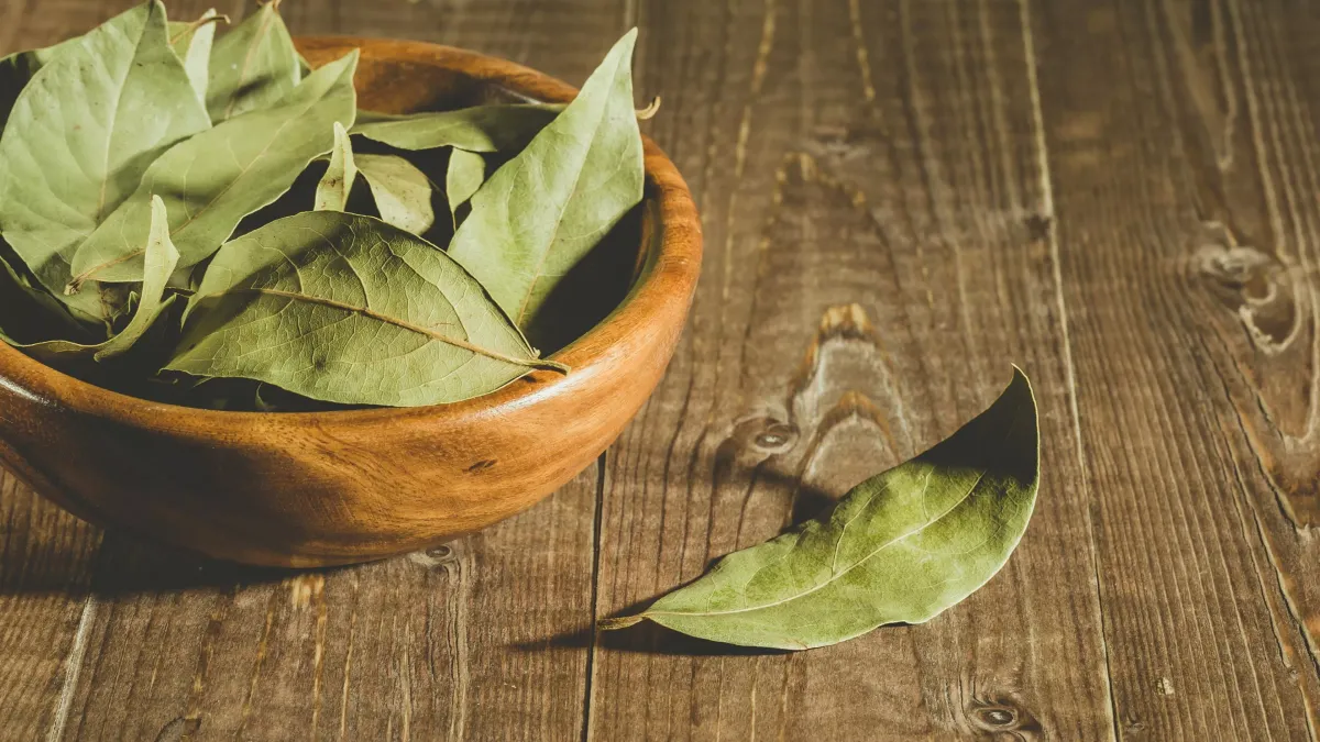 Pourquoi faut-il boire de la tisane de laurier ?