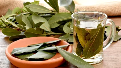 Pourquoi faut-il boire de la tisane de laurier ?
