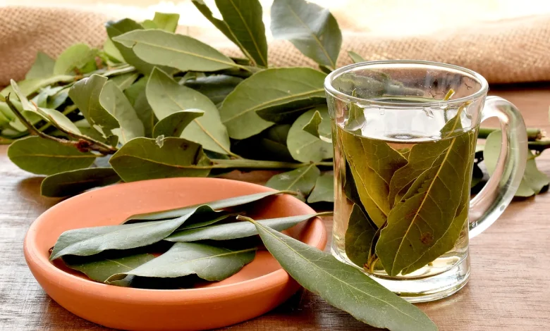 Pourquoi faut-il boire de la tisane de laurier ?