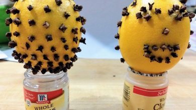 Un citron et quelques clous de girofle