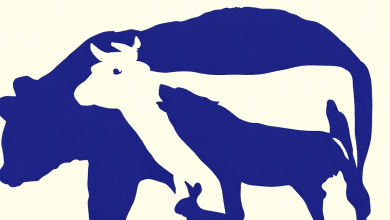 Saurez-vous trouver les 10 animaux sur l’image ?