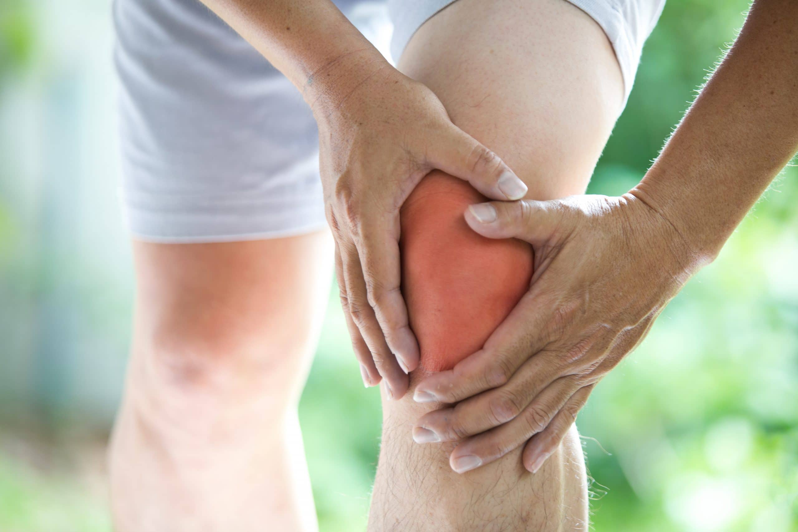 arthrose du genou